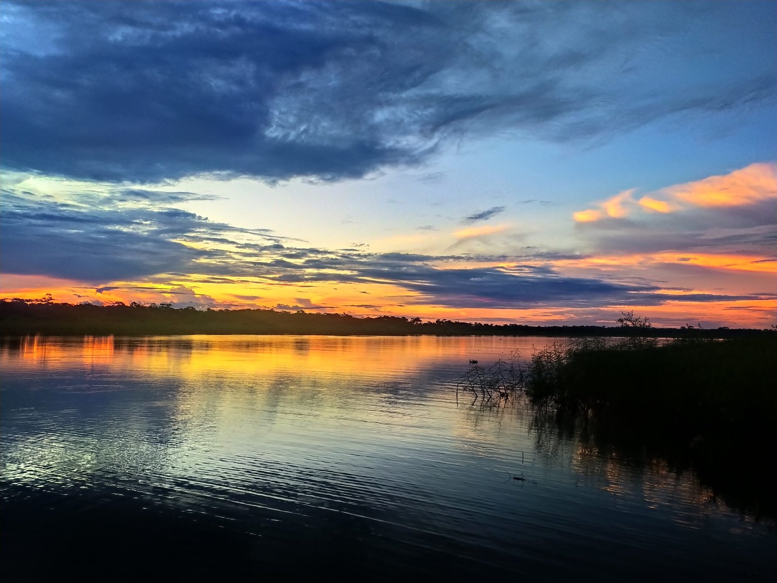 Iquitos